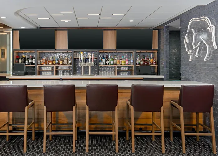 Hilton Garden Inn Buffalo Airport Cheektowaga